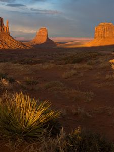 Preview wallpaper desert, evening, vegetation, shade, canyons