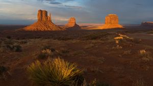 Preview wallpaper desert, evening, vegetation, shade, canyons