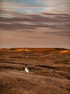 Preview wallpaper desert, girl, silhouette, landscape, hills