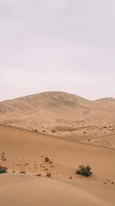 Preview wallpaper desert, hill, dunes, sand