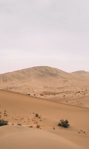Preview wallpaper desert, hill, dunes, sand