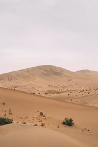 Preview wallpaper desert, hill, dunes, sand