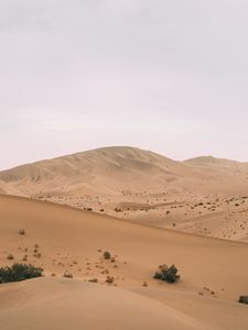 Preview wallpaper desert, hill, dunes, sand