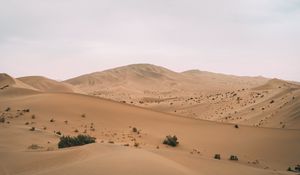 Preview wallpaper desert, hill, dunes, sand