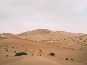 Preview wallpaper desert, hill, dunes, sand
