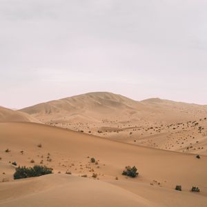 Preview wallpaper desert, hill, dunes, sand