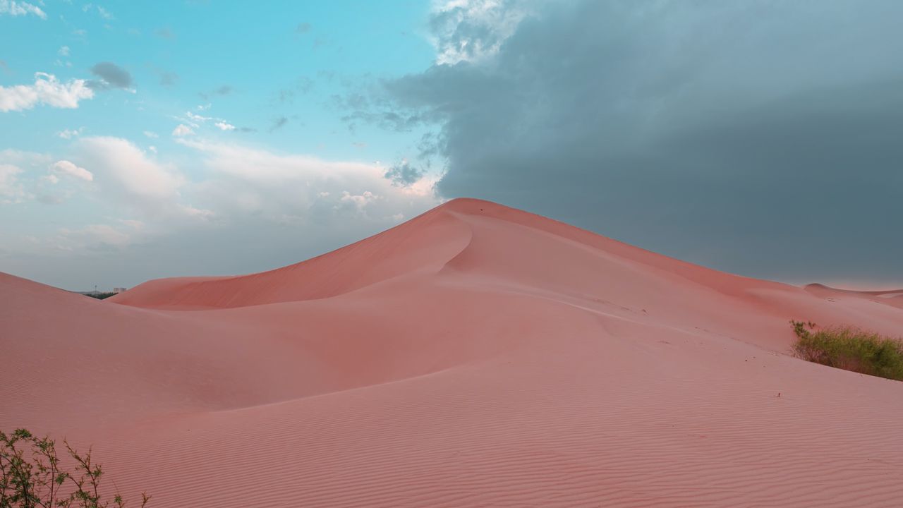 Wallpaper desert, hill, sand, dunes, bushes