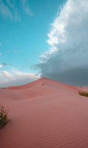 Preview wallpaper desert, hill, sand, dunes, bushes