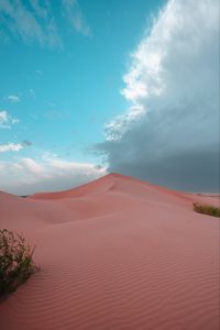 Preview wallpaper desert, hill, sand, dunes, bushes