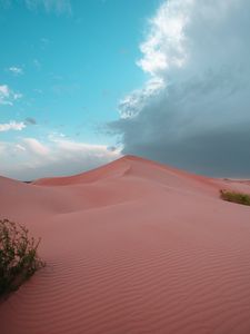 Preview wallpaper desert, hill, sand, dunes, bushes