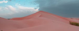 Preview wallpaper desert, hill, sand, dunes, bushes