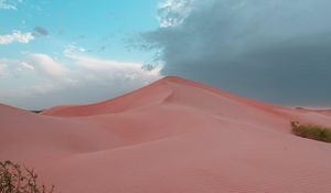 Preview wallpaper desert, hill, sand, dunes, bushes