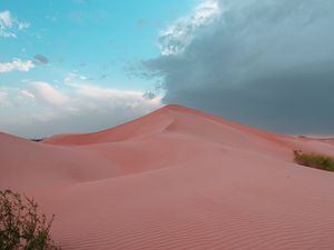 Preview wallpaper desert, hill, sand, dunes, bushes