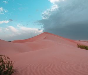 Preview wallpaper desert, hill, sand, dunes, bushes