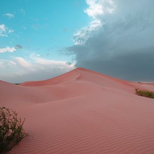 Preview wallpaper desert, hill, sand, dunes, bushes