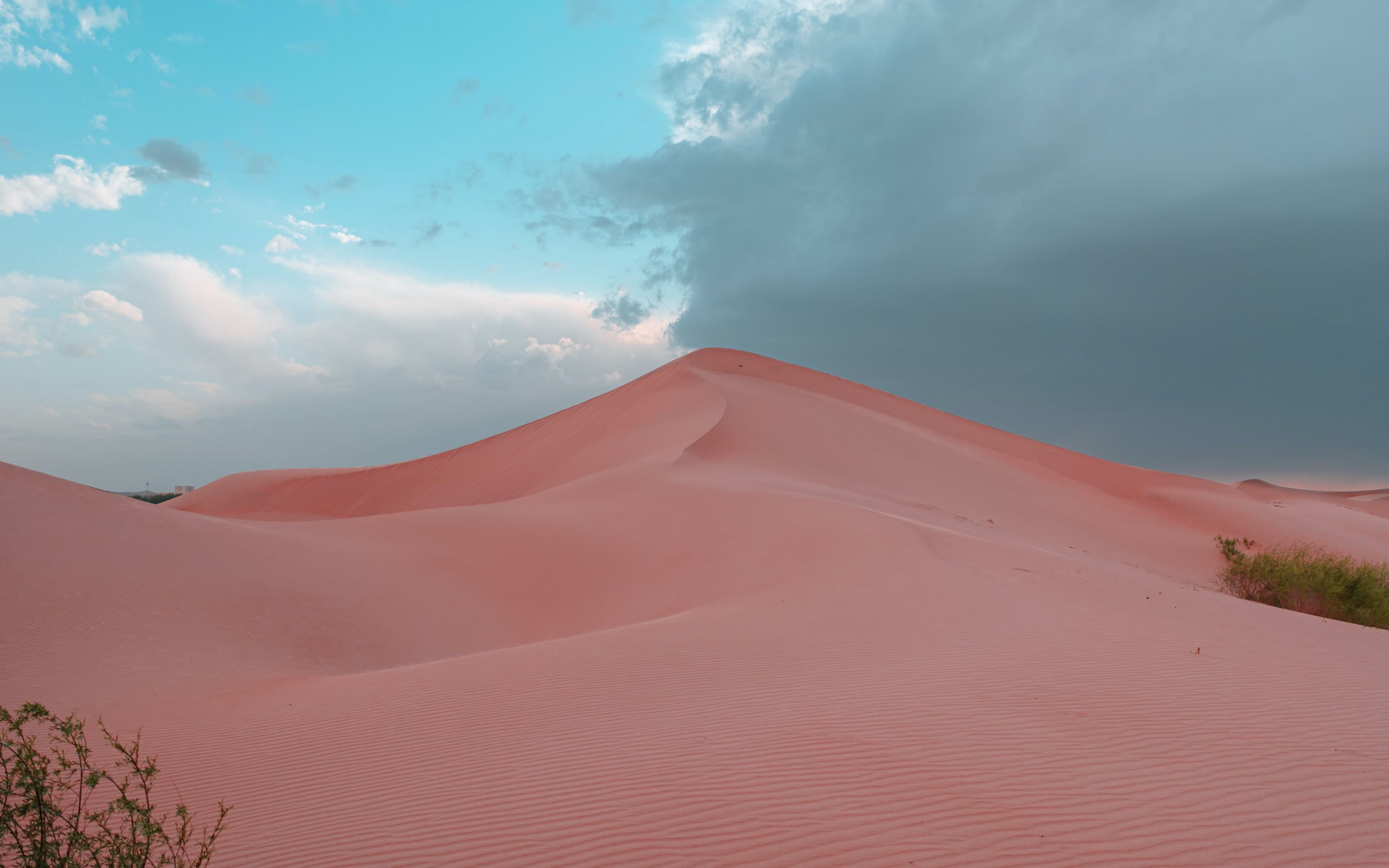 Download Wallpaper 3840x2400 Desert Hill Sand Dunes Bushes 4k Ultra