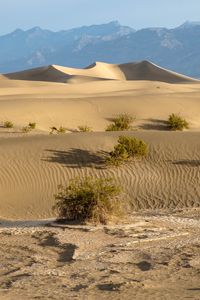 Preview wallpaper desert, hills, sand, nature