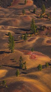Preview wallpaper desert, hills, trees, aerial view, nature
