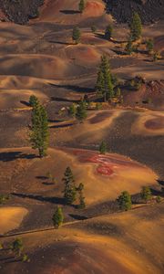 Preview wallpaper desert, hills, trees, aerial view, nature