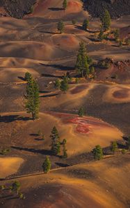 Preview wallpaper desert, hills, trees, aerial view, nature