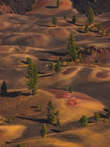 Preview wallpaper desert, hills, trees, aerial view, nature