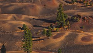 Preview wallpaper desert, hills, trees, aerial view, nature