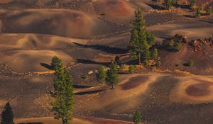 Preview wallpaper desert, hills, trees, aerial view, nature