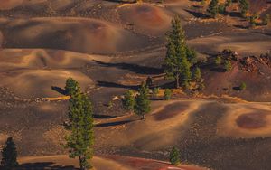 Preview wallpaper desert, hills, trees, aerial view, nature