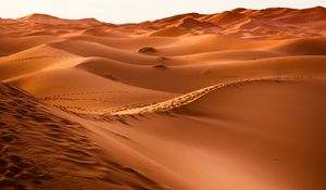 Preview wallpaper desert, morocco, dune, sand