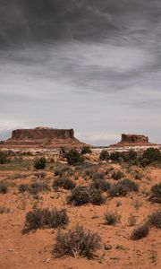Preview wallpaper desert, mountains, bushes, vegetation, sand