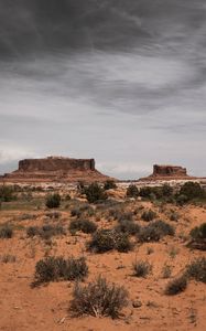 Preview wallpaper desert, mountains, bushes, vegetation, sand