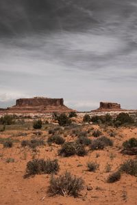 Preview wallpaper desert, mountains, bushes, vegetation, sand