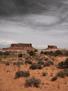 Preview wallpaper desert, mountains, bushes, vegetation, sand