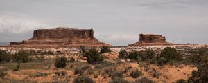 Preview wallpaper desert, mountains, bushes, vegetation, sand