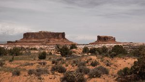 Preview wallpaper desert, mountains, bushes, vegetation, sand