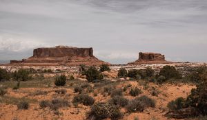 Preview wallpaper desert, mountains, bushes, vegetation, sand