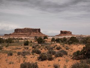 Preview wallpaper desert, mountains, bushes, vegetation, sand
