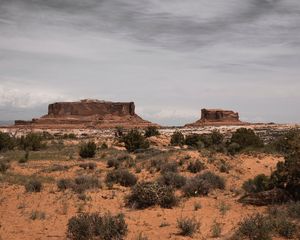 Preview wallpaper desert, mountains, bushes, vegetation, sand