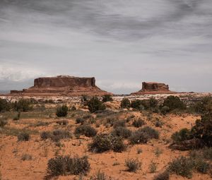 Preview wallpaper desert, mountains, bushes, vegetation, sand