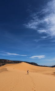Preview wallpaper desert, people, sand, tourist, journey