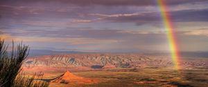 Preview wallpaper desert, rainbow, after a rain