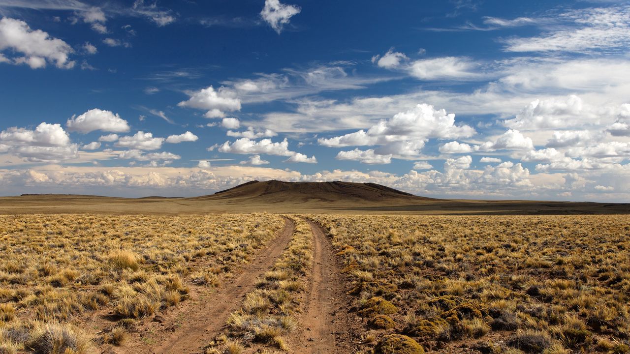 Wallpaper desert, road, vegetation