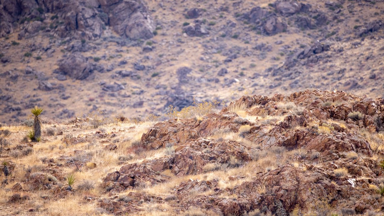 Wallpaper desert, rocks, landscape, stones