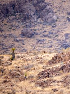Preview wallpaper desert, rocks, landscape, stones