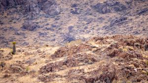 Preview wallpaper desert, rocks, landscape, stones