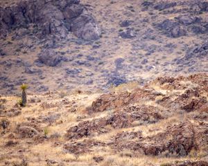 Preview wallpaper desert, rocks, landscape, stones