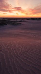 Preview wallpaper desert, sand, bushes, horizon, twilight, sunset
