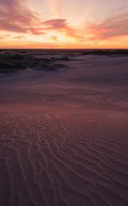 Preview wallpaper desert, sand, bushes, horizon, twilight, sunset