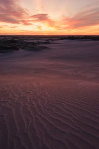 Preview wallpaper desert, sand, bushes, horizon, twilight, sunset