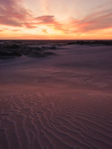 Preview wallpaper desert, sand, bushes, horizon, twilight, sunset